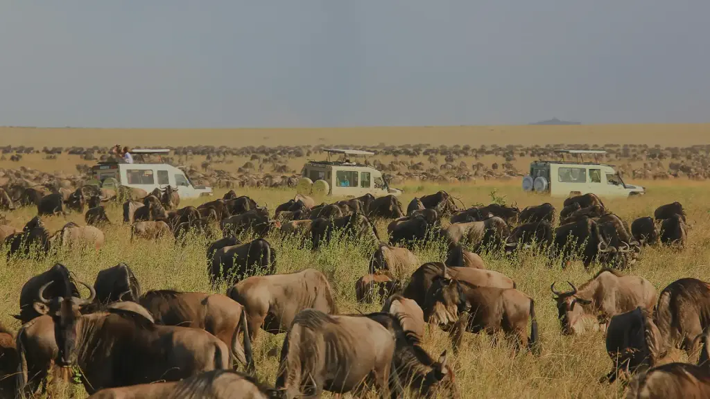 Tanzania Travel Safety