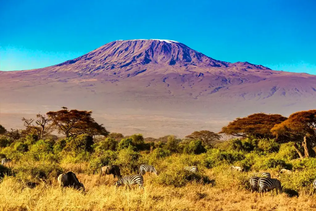 The snow-capped summit of Mount Kilimanjaro above the savannah