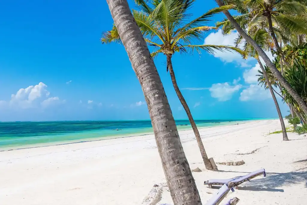 A palm tree leaning over a white-sand beach on Zanzibar