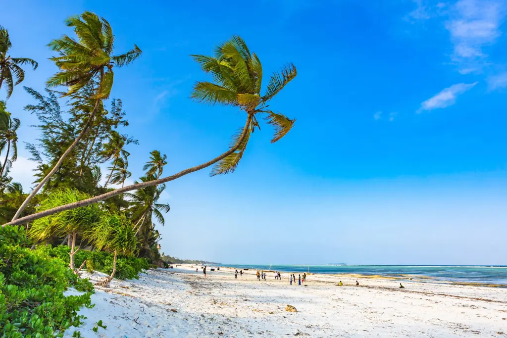 Palm trees above the white sand of Matemwe Beach, Zanzibar