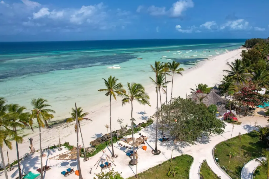 Aerial view of palm-lined Kendwa Beach, Zanzibar