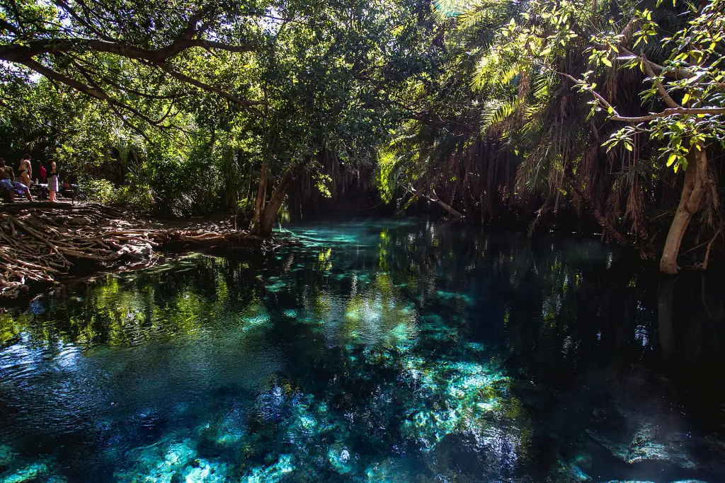 Kikuletwa Hot Springs Swim Day