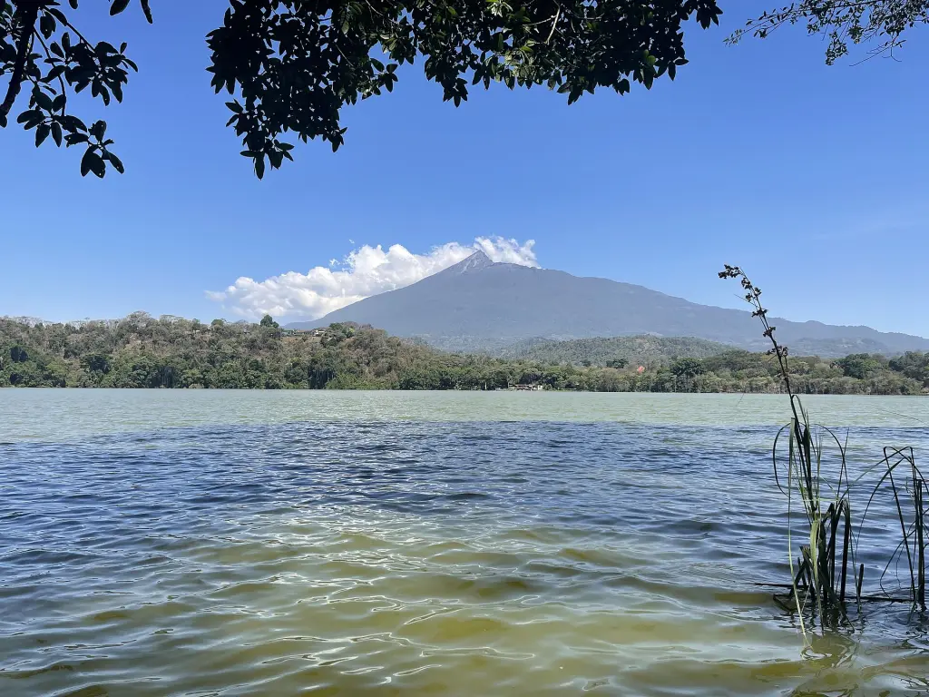Lake Duluti Canoe & Forest Day Trip