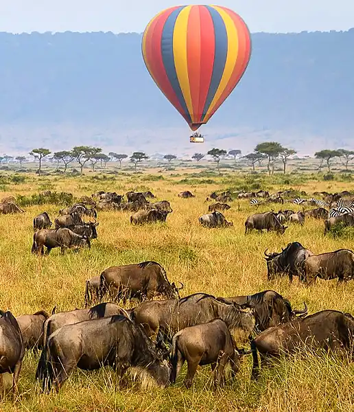 A hot air balloon drifting over wildebeest herds on the plains